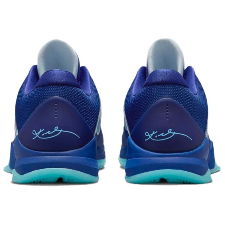Kobe 5 Protro X Ray